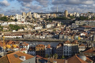 View of the Douro River and Vila Nova de Gaia from Miradouro da Vitoria