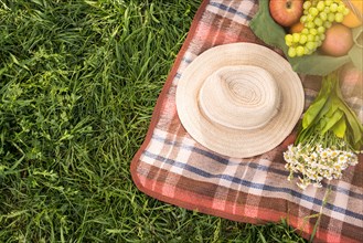 Picnic blanket with fruits hat