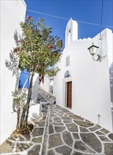 White Greek Orthodox church and flowering tree