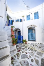 White Cycladic houses with blue doors and windows and flower pots