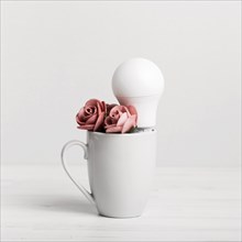 Cub with beautiful roses light bulb