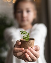 Defocused little girl holding plant pot home