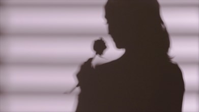 Shadow woman holding rose