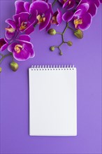 Blank notepad surrounded by orchids