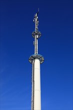 Transmission mast with various antennas for directional radio and mobile radio