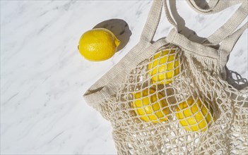Top view lemons crochet net bag