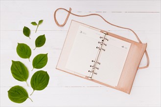 Pink notebook with beech leaves