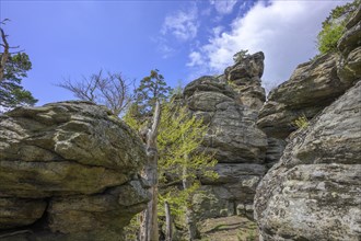 Climbing Rock Hohe Stein
