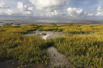 View into the mudflats to the north on the island of Minsener Oog