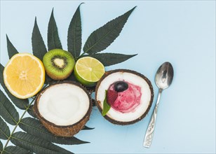 Citrus fruits kiwi halved coconut with ice cream scoop spoon blue background