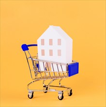 House model inside shopping cart against yellow backdrop