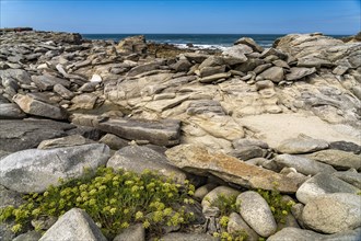 The rocks of the pink granite coast Cote de Granit Rose on the island of Ile Grande