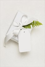Close up present box empty tag green leaf isolated white background