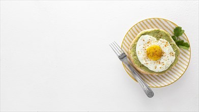 Flat lay pita with avocado fried egg plate with copy space