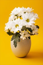 Front view white flowers vase