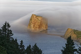 Fog at Perce Rock
