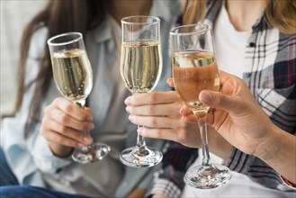 Women holding champagne glasses toast
