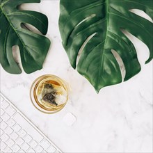 Tea bag glass transparent cup green monstera leaves keyboard white marble textured backdrop
