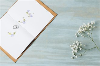 Love text made with wedding rings open book with gypsophila flower wooden backdrop