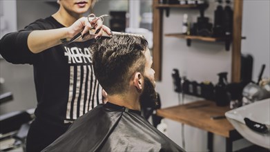 Woman combing haircutting man