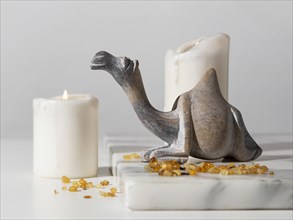 Epiphany day camel figurine with raisins candles