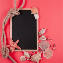 Tied rope seashells with blank blackboard coral background