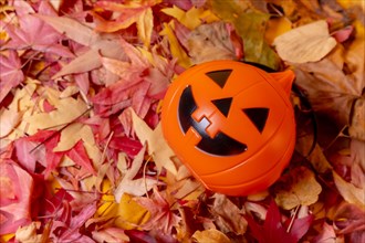 Photo of a Halloween pumpkin on a background of red autumn leaves