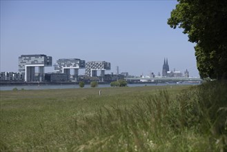City view of Cologne over Poller Wiesen