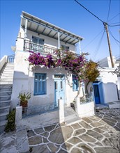 White Cycladic houses with blue doors and windows and bougainvillea