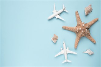 Vacation concept with planes starfish