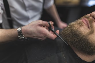 Barber cutting beard crop client
