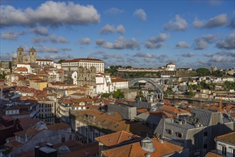 View from the Miradouro da Vitoria of the old town with the Se Cathedral