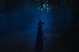 Witch girl path mist