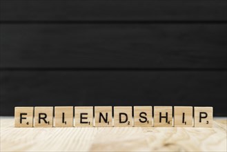 Word friendship spelt with wooden letters