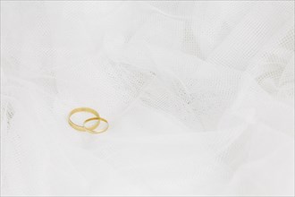 Wedding rings with bridal veil