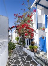White Cycladic houses with blue doors and bougainvillea