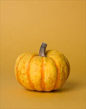 Monochromatic still life composition with pumpkin