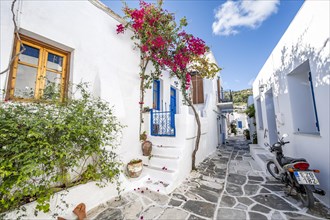 White Cycladic houses with blue doors and windows and flower pots with red bougainvillea