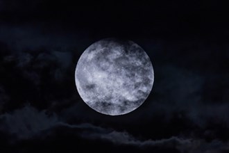 The full moon fights its way through the cloudy sky in the evening in the Rhine-Main area. It is already the second one in August '23 - that doesn't happen often. The so-called Blue Moon or Blue Super...