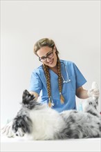 Female veterinarian examining dog clinic
