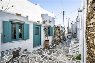 White Cycladic houses with blue doors and windows and flower pots