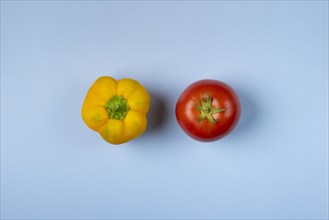 Red tomato and yellow pepper on blue background