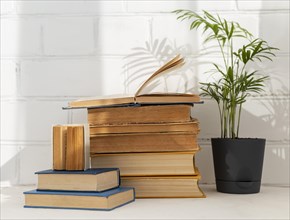 Books arrangement with potted plant
