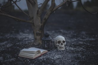 Beautiful halloween concept with spell books skull