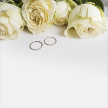 Wedding rings fresh roses white background