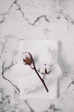 Top view cotton twig white napkins marble backdrop