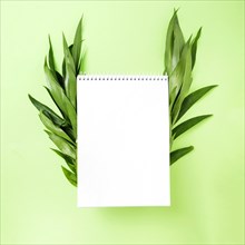 Blank spiral notepad with leaves side green background