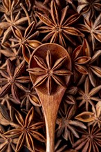 Top view star anise spice spoon