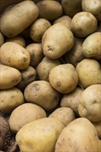 Top view raw potatoes arrangement