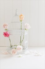 Decorative colorful roses cage